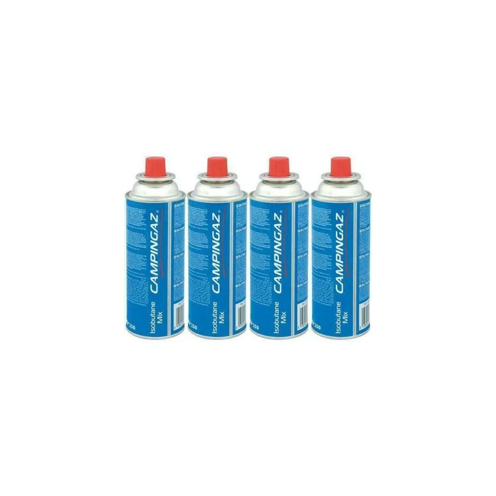 Leisure & Outdoors Camping Gas Cartridges department imagery
