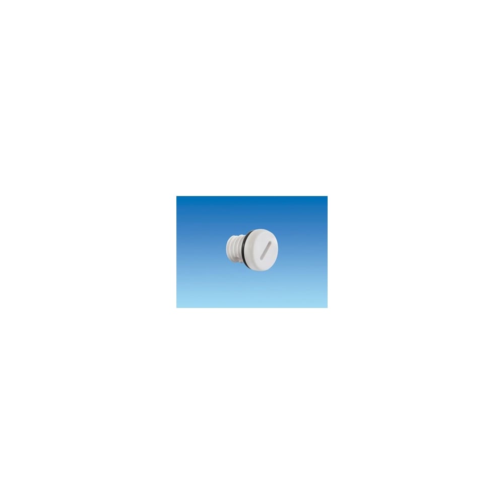 Cascade Water Heater Plug MKII Post 1987