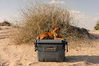 55QT Convoy Cooler Box