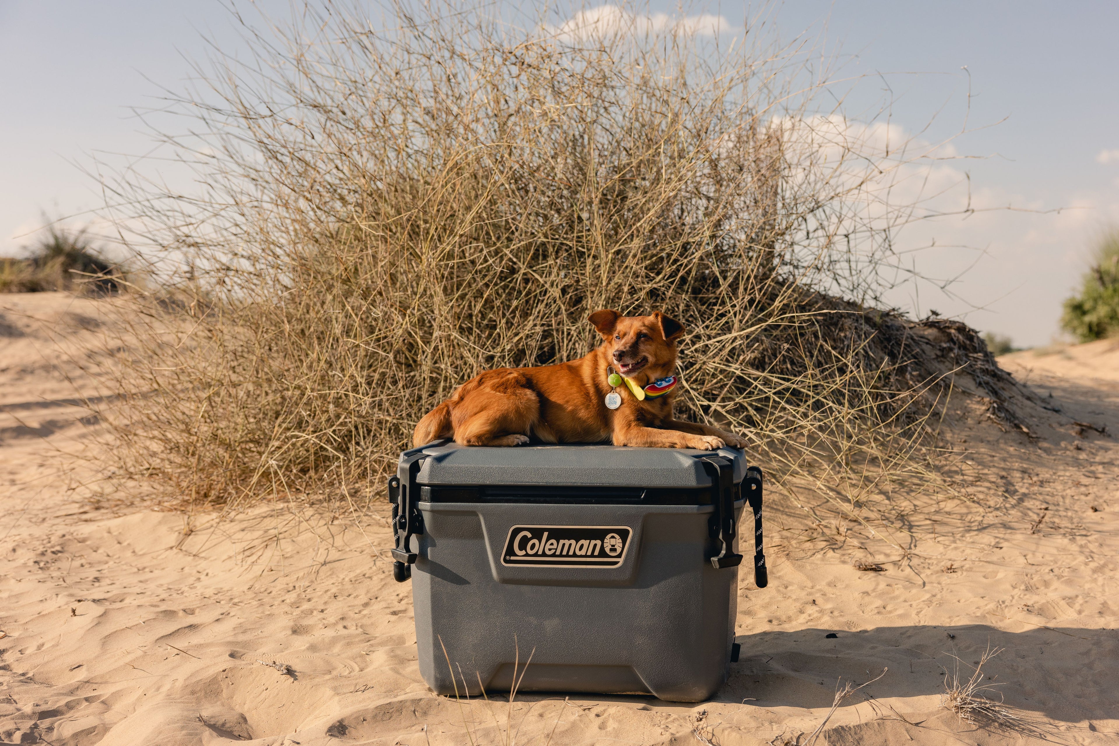 55QT Convoy Cooler Box